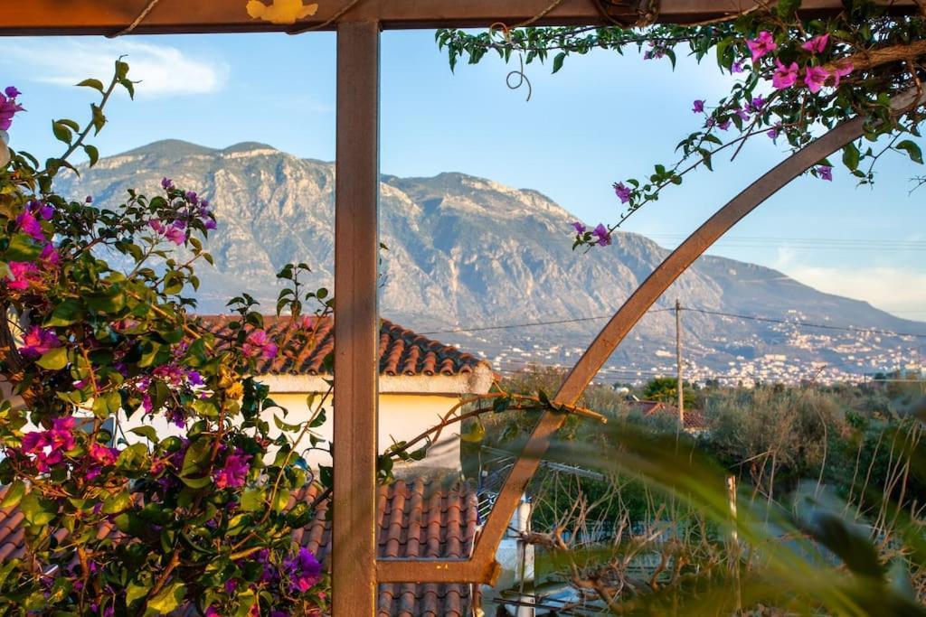 Bougainvillea House 2 * Kalamata
