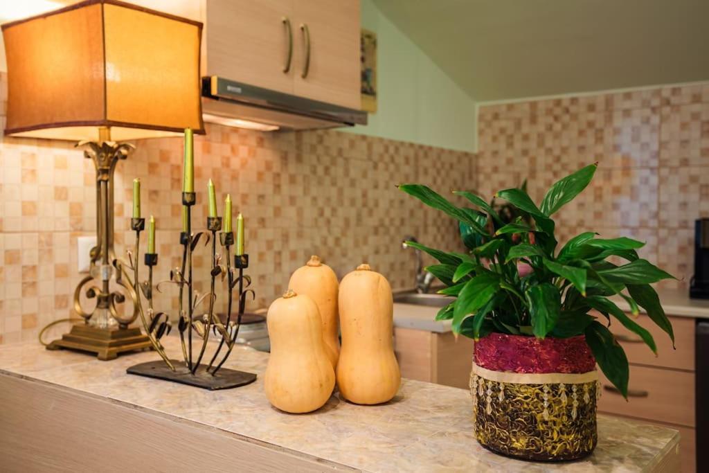 Apartamento Bougainvillea House 2